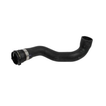2000 BMW Z3 Radiator Coolant Hose Lower Rein Automotive CHR0048P image 3 of 4