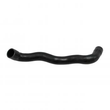 1999 Mercedes-Benz E320 Radiator Coolant Hose Upper Rein Automotive CHR0055R image 3 of 4