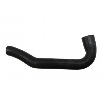 1998 Mercedes-Benz C230 Radiator Coolant Hose Lower - Radiator To Water Pump Rein Automotive CHR0065R image 2 of 4