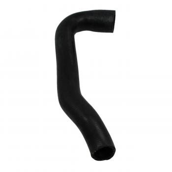 1998 Mercedes-Benz C230 Radiator Coolant Hose Lower - Radiator To Water Pump Rein Automotive CHR0065R image 4 of 4