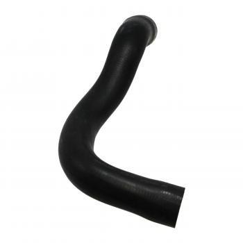 1994 BMW 318i Radiator Coolant Hose Lower - Radiator To Thermostat Rein Automotive CHR0071R image 4 of 4