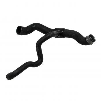 2004 Mercedes-Benz C240 Radiator Coolant Hose Lower Rein Automotive CHR0104R image 3 of 4