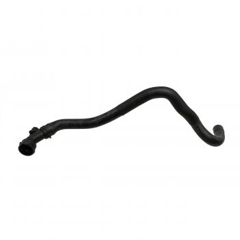 2005 Volkswagen Beetle Radiator Coolant Hose Lower Rein Automotive CHR0117R image 3 of 4