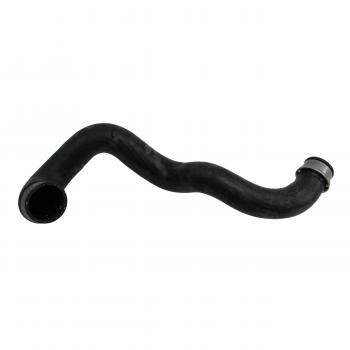 2005 Mercedes-Benz E320 Radiator Coolant Hose Lower - Water Pump To Radiator Rein Automotive CHR0183P image 1 of 4