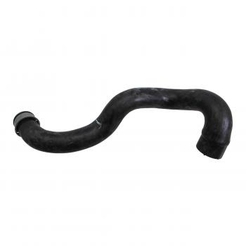 2005 Mercedes-Benz E320 Radiator Coolant Hose Lower - Water Pump To Radiator Rein Automotive CHR0183P image 2 of 4