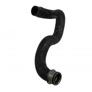 2005 Mercedes-Benz E320 Radiator Coolant Hose Lower - Water Pump To Radiator Rein Automotive CHR0183P image 4 of 4