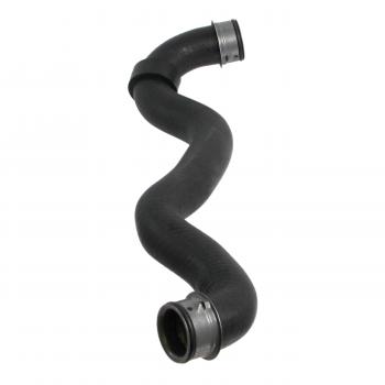Rein Automotive CHR0195R Radiator Coolant Hose product image 5 of 6