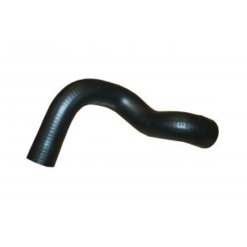1992 BMW 318i Radiator Coolant Hose Lower - Radiator To Thermostat Rein Automotive CHR0261R image 1 of 1