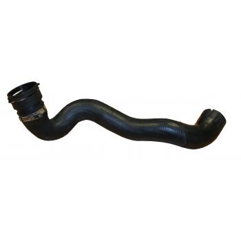 2005 Mercedes-Benz S430 Radiator Coolant Hose Lower Rein Automotive CHR0367R image 1 of 1