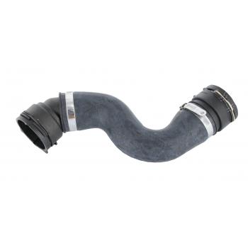 2010 BMW 528i Radiator Coolant Hose Lower Rein Automotive CHR0402R image 3 of 4