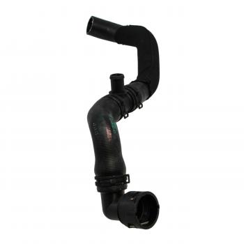 2002 Volkswagen Jetta Radiator Coolant Hose Lower Rein Automotive CHR0454 image 4 of 4