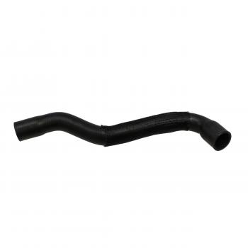 2005 Mini Cooper Radiator Coolant Hose Lower - Radiator To Pipe Rein Automotive CHR0471 image 3 of 4