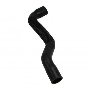 2005 Mini Cooper Radiator Coolant Hose Lower - Radiator To Pipe Rein Automotive CHR0471 image 4 of 4