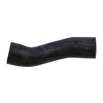 2005 Mini Cooper Radiator Coolant Hose Upper (Radiator To Connector) Rein Automotive CHR0490 image 1 of 4