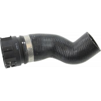 2013 Volkswagen Tiguan Radiator Coolant Hose Lower - Adapter To Thermostat Rein Automotive CHR0709 image 2 of 4