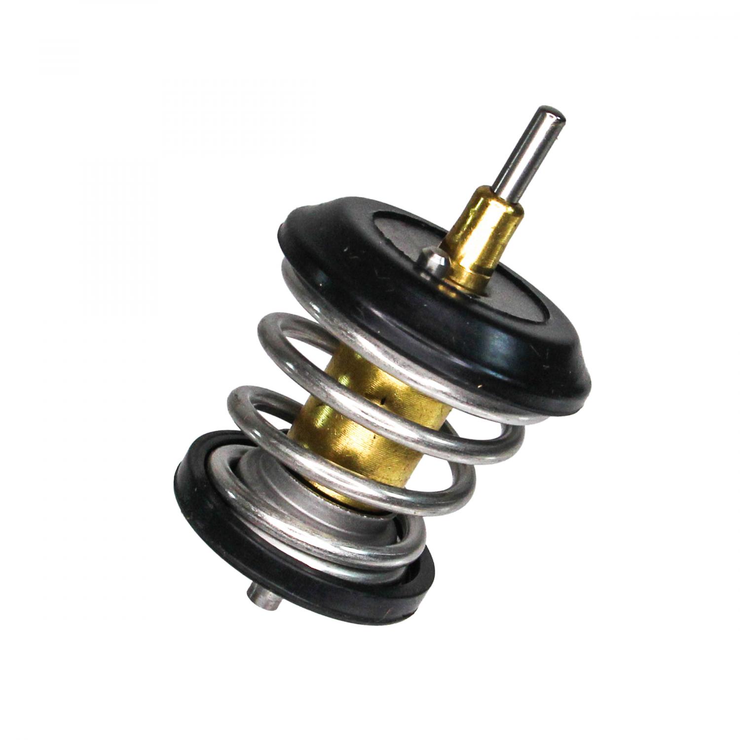 Rein Automotive CTI0010 - Engine Coolant Thermostat Rein Automotive CTI0010 Engine Coolant Thermostat product image 1 of 6