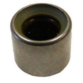 2006 Audi S4 Clutch Pilot Bearing