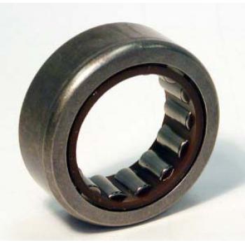2002 Ford F750 Manual Trans Countershaft Bearing