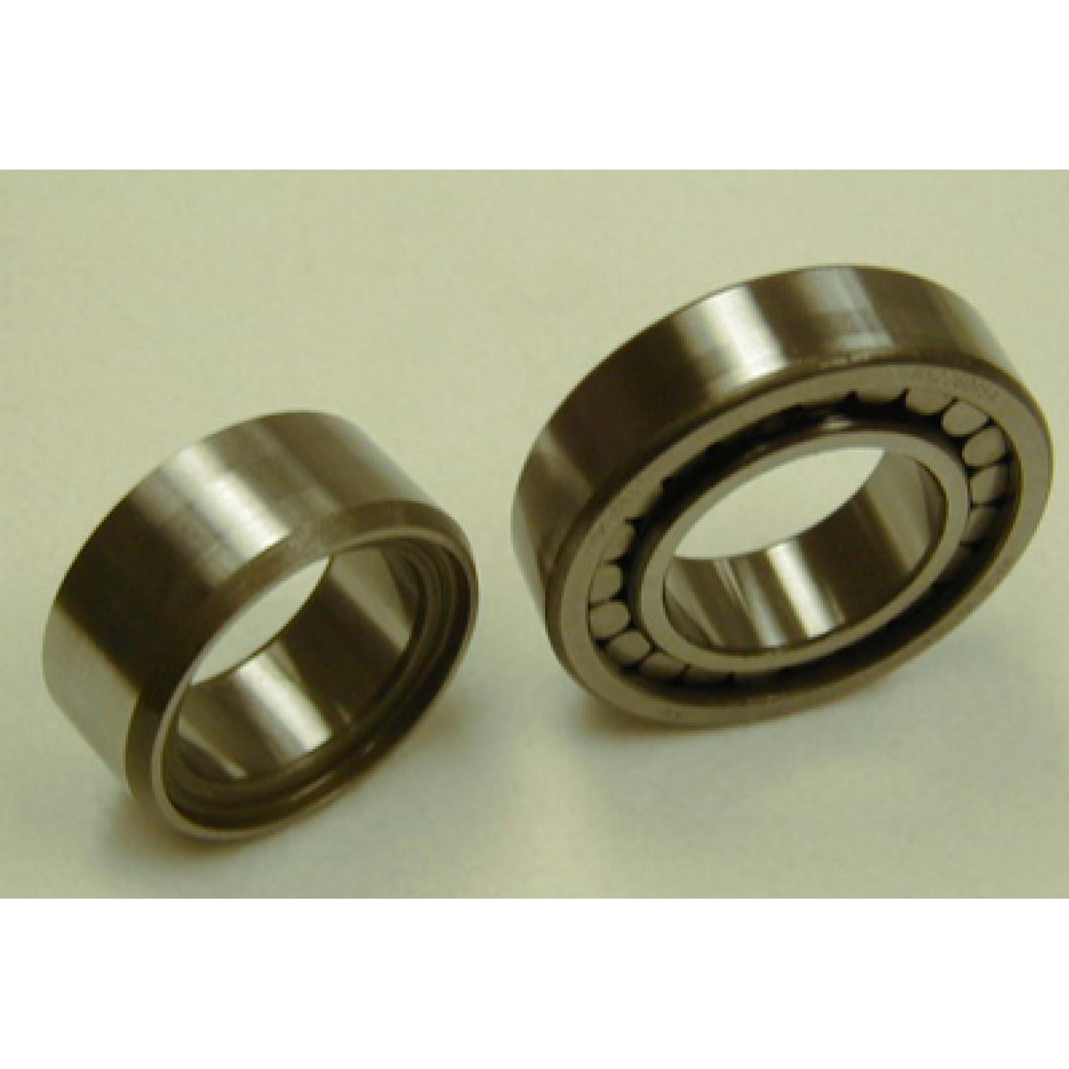 SKF MU1305TM17 - Differential Pinion Pilot Bearing SKF MU1305TM17 Differential Pinion Pilot Bearing product image 1 of 1