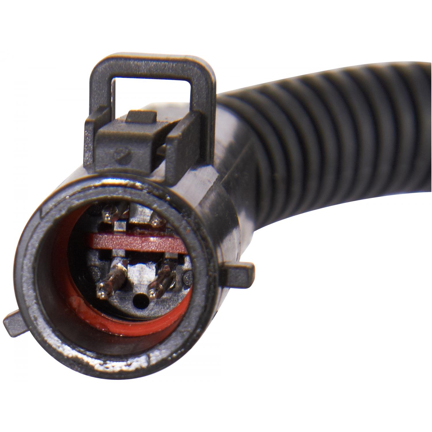 Spectra Premium CH09 - Distributor Spectra Premium CH09 Distributor product image 2 of 4