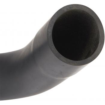 2000 Dodge Ram 2500 Van Fuel Filler Hose Spectra Premium FNH061 image 3 of 3