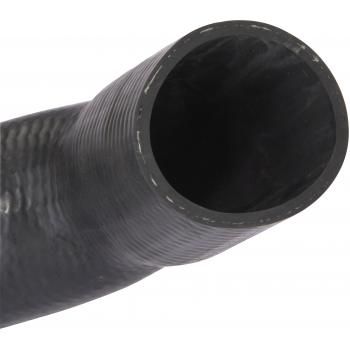 1995 Ford Ranger Fuel Filler Hose Spectra Premium FNH068 image 3 of 3