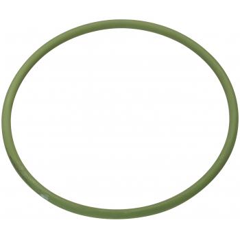 2004 Nissan Tsubame Fuel Pump Tank Seal