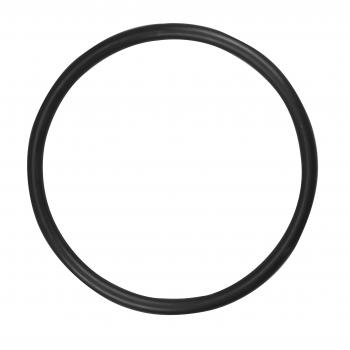 2001 Chevrolet Metro Fuel Pump Tank Seal