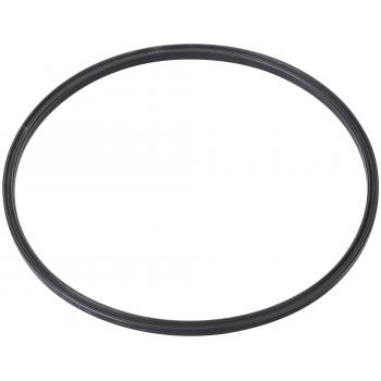 2000 Pontiac Sunfire Fuel Pump Tank Seal