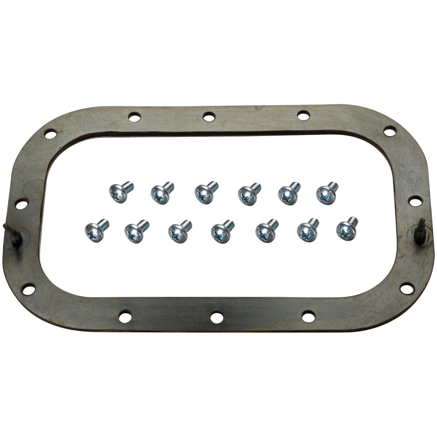 Spectra Premium LO31 Fuel Pump Tank Seal product image 1 of 1