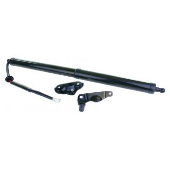 2014 Toyota Highlander Liftgate Lift Support