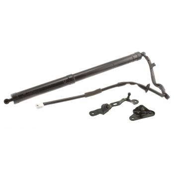2016 Toyota RAV4 Liftgate Lift Support