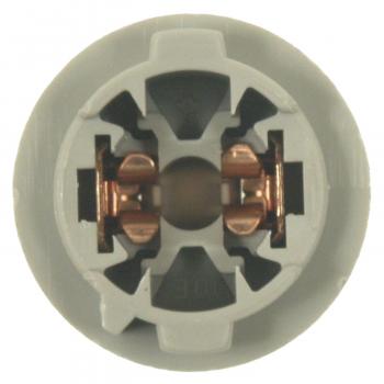 2008 Pontiac Vibe License Lamp Socket Standard Motor Products S1732 image 3 of 4