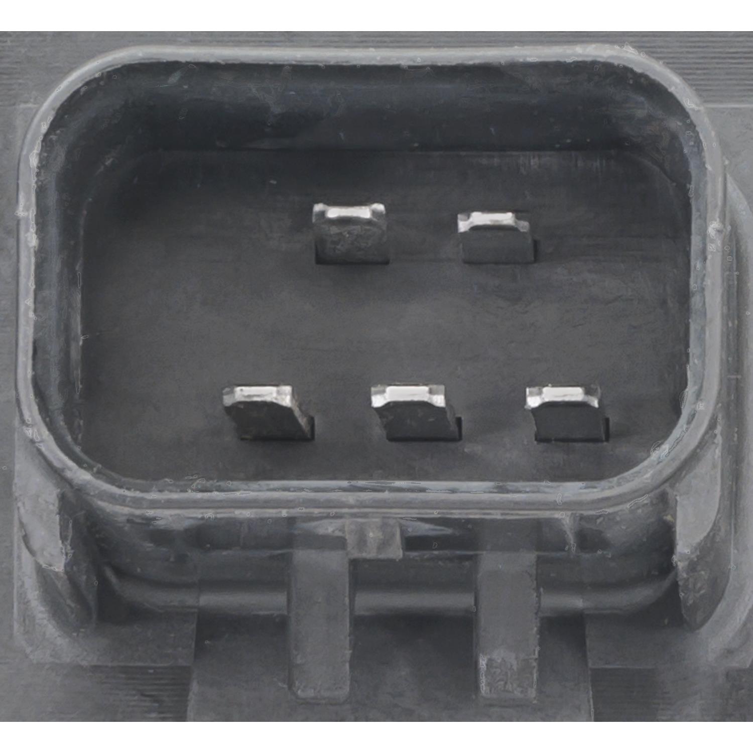 Standard Motor Products S2605 - Tail Lamp Socket Standard Motor Products S2605 Back Up Light Socket product image 3 of 4