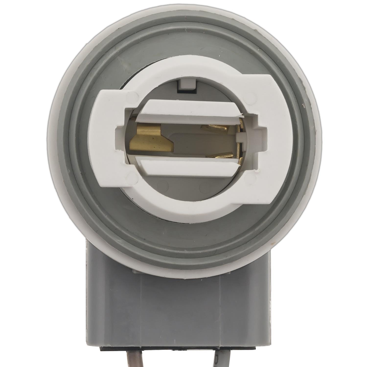 Standard Motor Products S770 - Tail Lamp Socket Standard Motor Products S770 Back Up Light Socket product image 3 of 4
