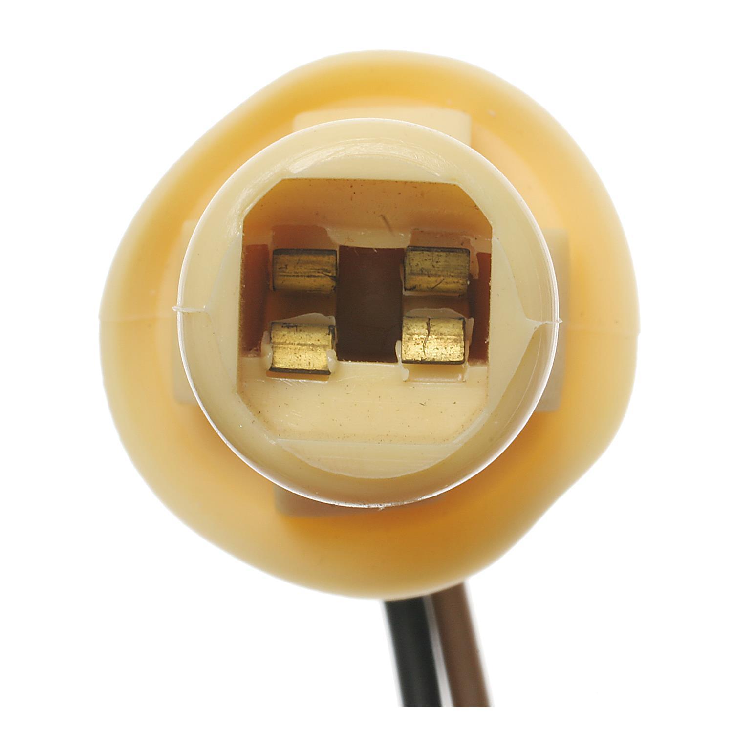Standard Motor Products S97 - Tail Lamp Socket Standard Motor Products S97 Back Up Light Socket product image 3 of 3