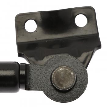 Strong Arm 4909 Tailgate Lift Support product image 8 of 8