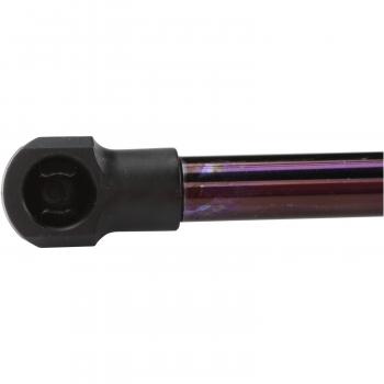 1983 Toyota Starlet Liftgate Lift Support