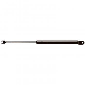 1981 Honda Civic Tailgate Lift Support