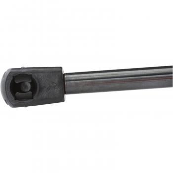 2003 Honda Odyssey Liftgate Lift Support Strong Arm C6111 image 1 of 4