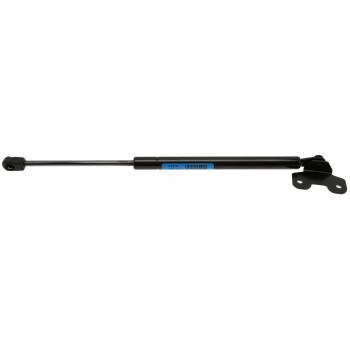 2003 Honda Accord Hood Lift Support Strong Arm D4157 image 4 of 4