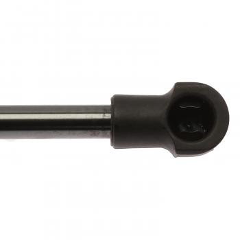 2013 Chevrolet Matiz Liftgate Lift Support Strong Arm D6495 image 3 of 4