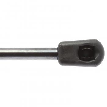 Strong Arm E6255 - Trunk Lid Lift Support Strong Arm E6255 Trunk Lid Lift Support product image 5 of 6