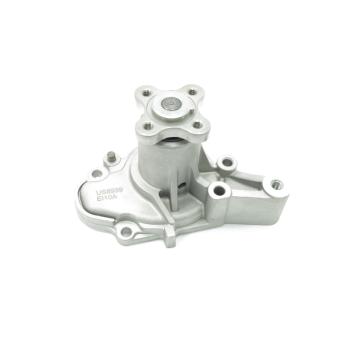 2014 Dodge i10 Engine Water Pump